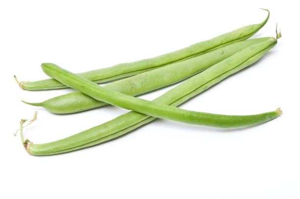 Haricot Vert
