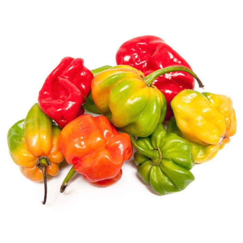 Piment Simple
