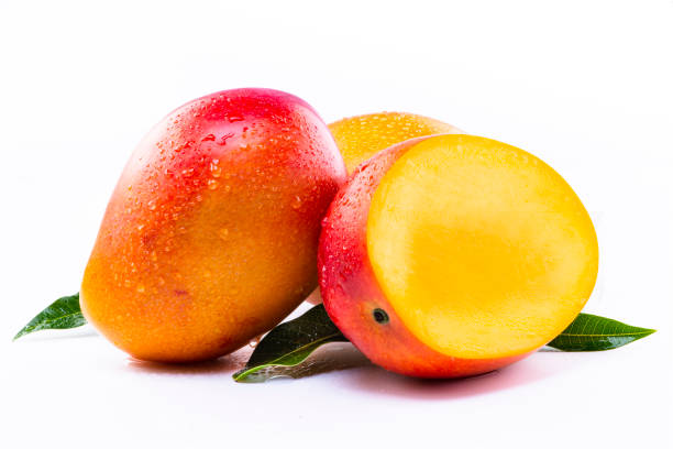Mangue