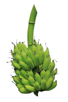 Banane Poyo