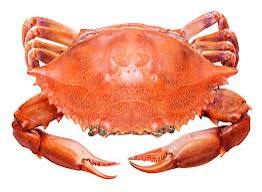 Crabe