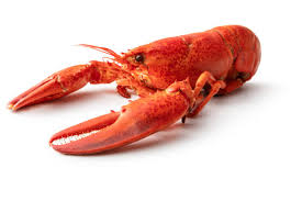 Langouste