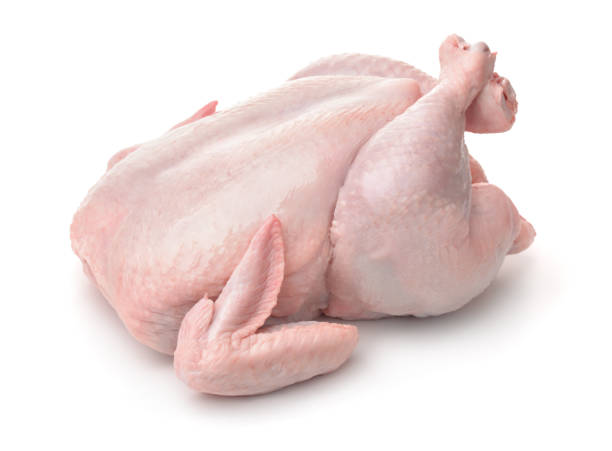 Poulet de Chair