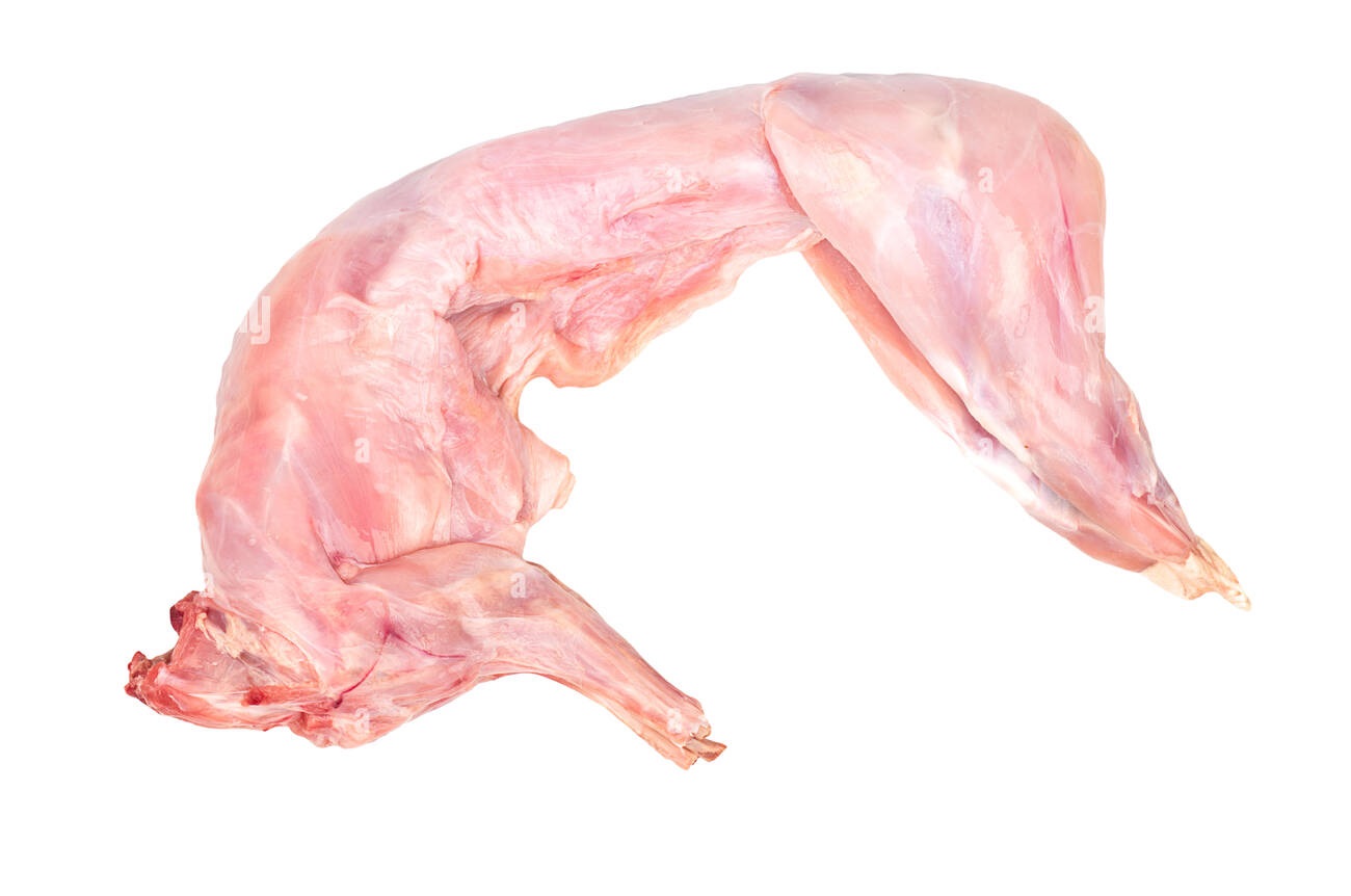 Lapin