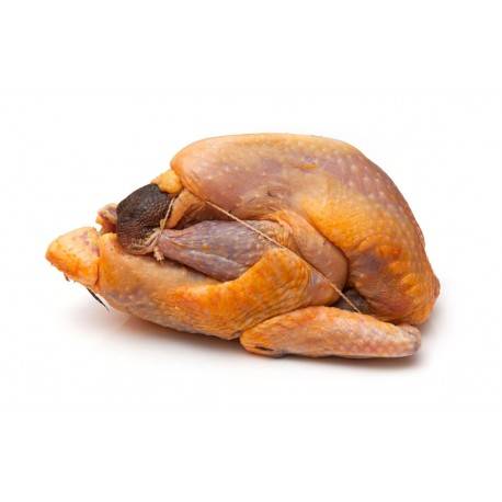 Pintade