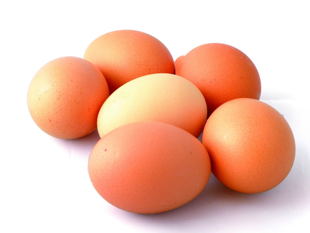 Oeuf