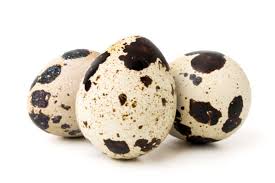 Oeuf de Caille