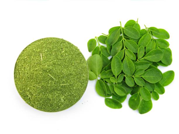 Moringa