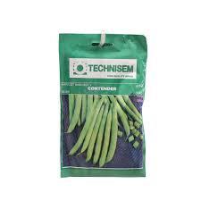 Haricot Vert