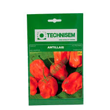 Piment Antillais