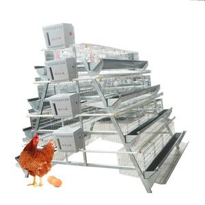 Cage Volaille