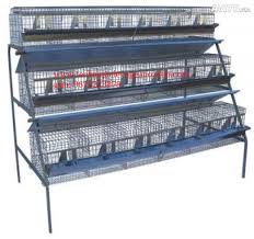 Cage Lapin