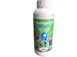 Nutrigofol
