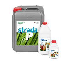 Strada K