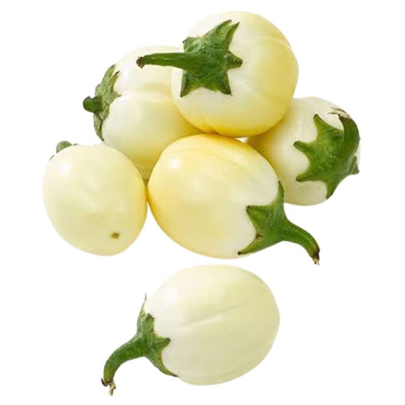 Aubergine Ndrowa