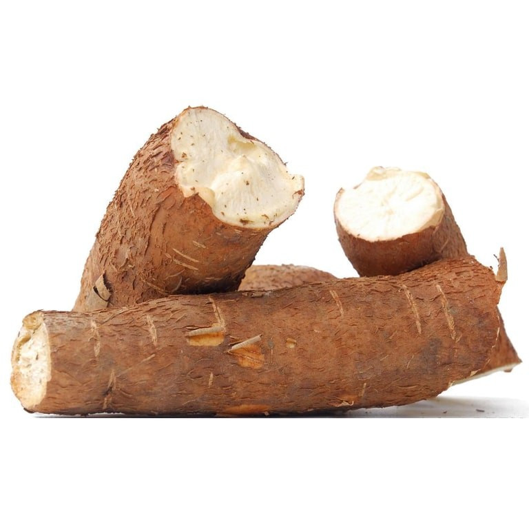Manioc